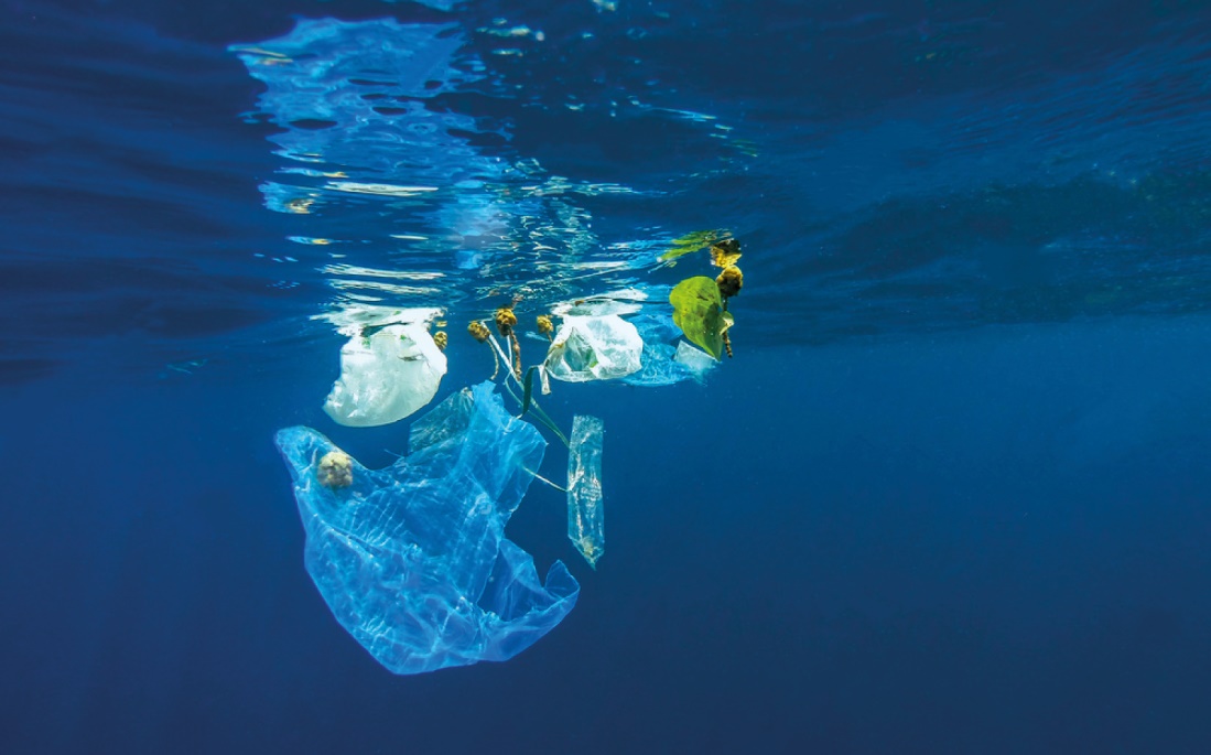 Plástico está en seis de los diez desechos más comunes en el océano.